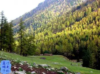 新疆圆舞曲4,图五