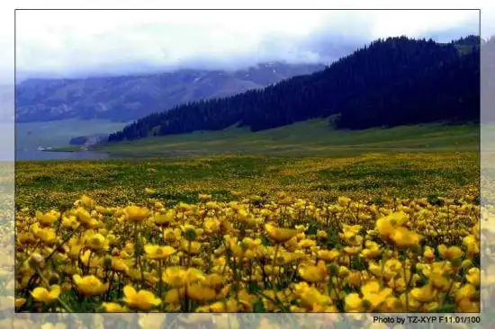 起飞----着陆《赛里木湖》