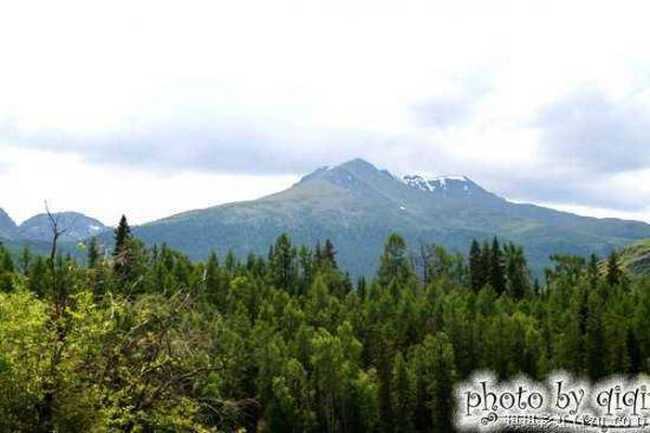 北疆自然揽胜之三：纯美翡翠喀纳斯,图二十一