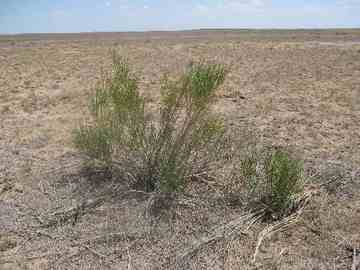 新疆行:绵延的荒凉,图五