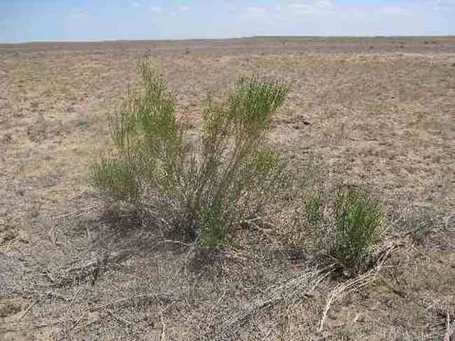 新疆行:绵延的荒凉,图五