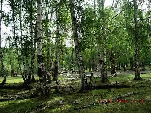 COLORFULDAYSINMYHEART-美丽的国之边境：白哈巴