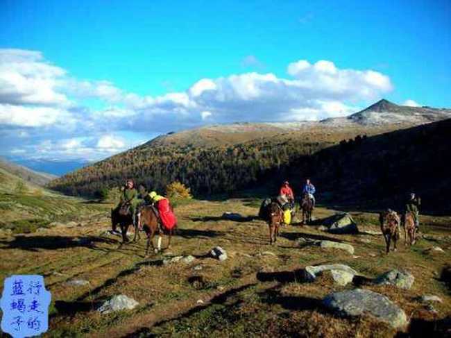 新疆圆舞曲4,图十