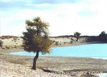 苍茫西北，我再难以忘情的地方！（六）,图一