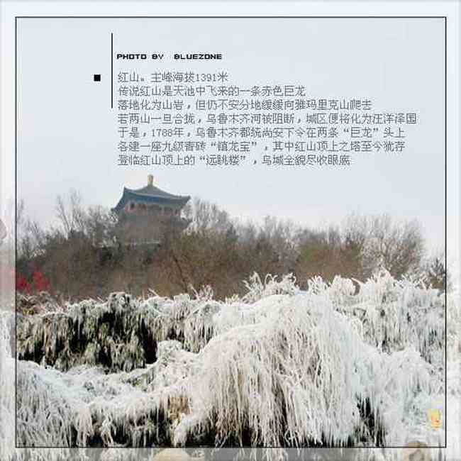 遗失在新疆（二）,图五