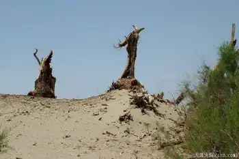穿越塔克拉玛干（中）,图九