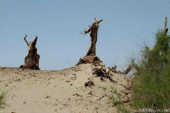 穿越塔克拉瑪干(中),圖九