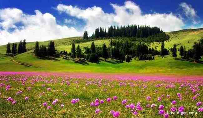 绝色新疆,色彩流淌的天堂,图三