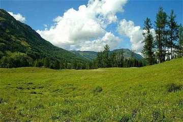 新疆盛宴—喀纳斯,图十