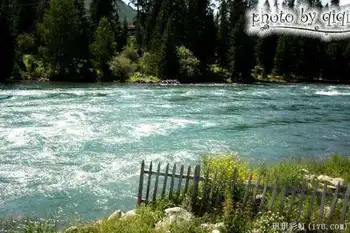 北疆自然揽胜之三：纯美翡翠喀纳斯,图七