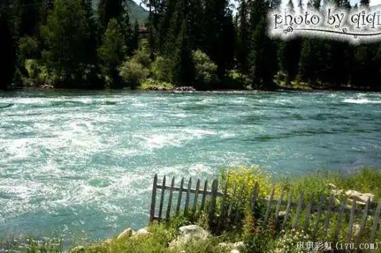 北疆自然揽胜之三：纯美翡翠喀纳斯