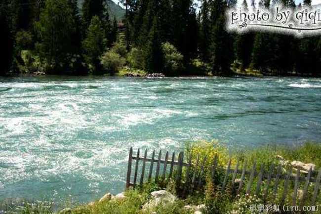 北疆自然揽胜之三：纯美翡翠喀纳斯,图七