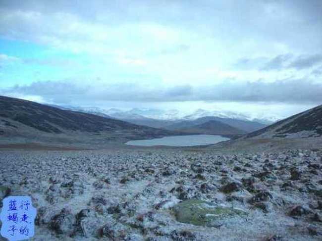 新疆圓舞曲5,圖二