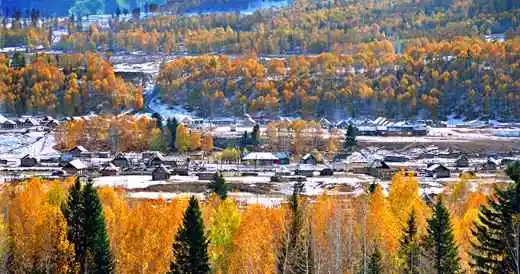 喀纳斯金秋掠影记