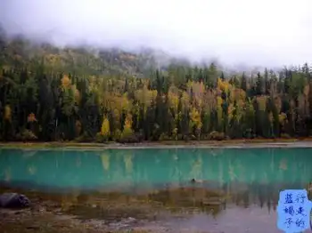 新疆圆舞曲6,图十二