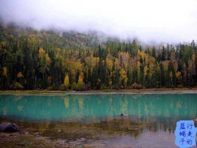 新疆圆舞曲6,图十二