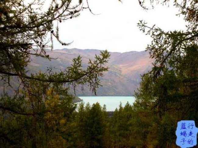 新疆圓舞曲5,圖十二