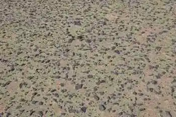 喀什游新发现,图二