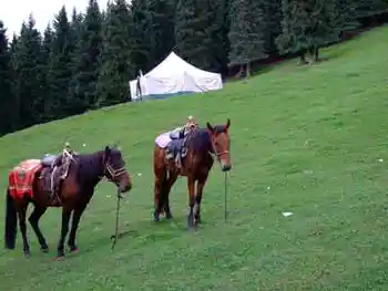 新疆游记——南山牧场,图三