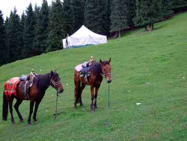 新疆游記——南山牧場(chǎng),圖三