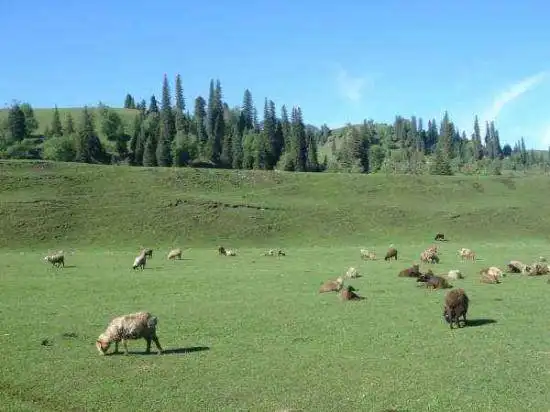 新疆---那拉提草原