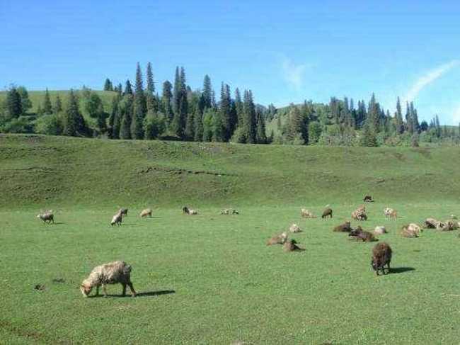 新疆---那拉提草原,图二