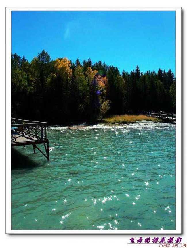 星光灿烂的喀纳斯湖,图四