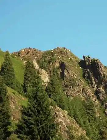 (北疆之七)天池,图十五