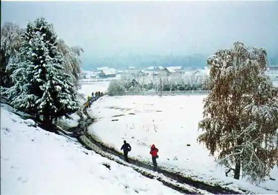 喀纳斯金秋掠影记