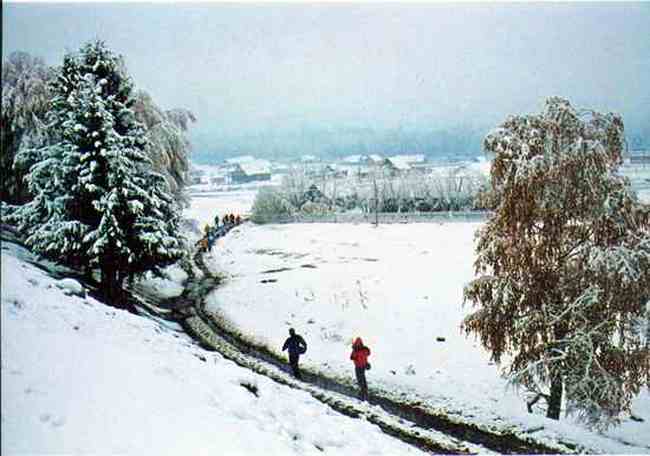 喀纳斯金秋掠影记,图一