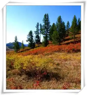 迷途阿尔泰,图五