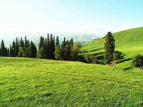 到青葱草原策马扬鞭