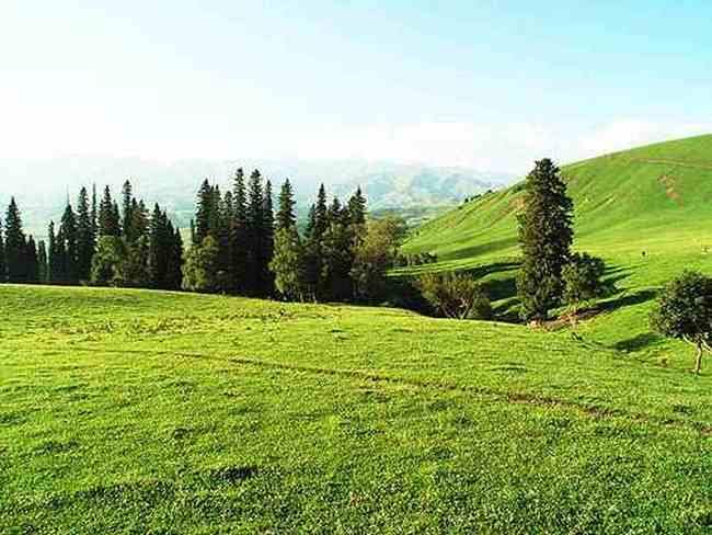 到青葱草原策马扬鞭,图四