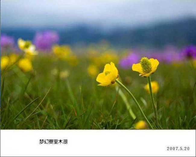 梦幻赛里木湖,图九