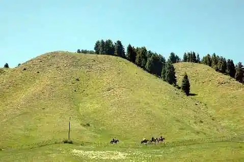 (北疆之六)南山牧场