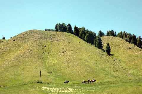 (北疆之六)南山牧场,图二