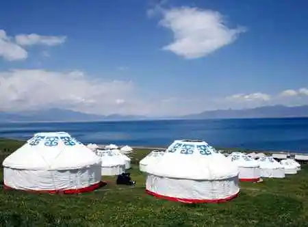 赛里木湖——五月的花海