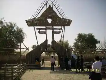 心旷神怡的罗布人村寨,图七