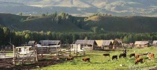 禾木一个童话世界（北疆纪行）