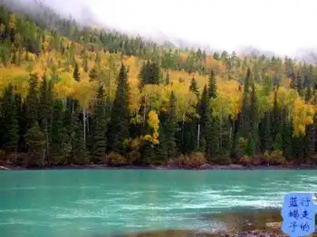 新疆圆舞曲6,图十五