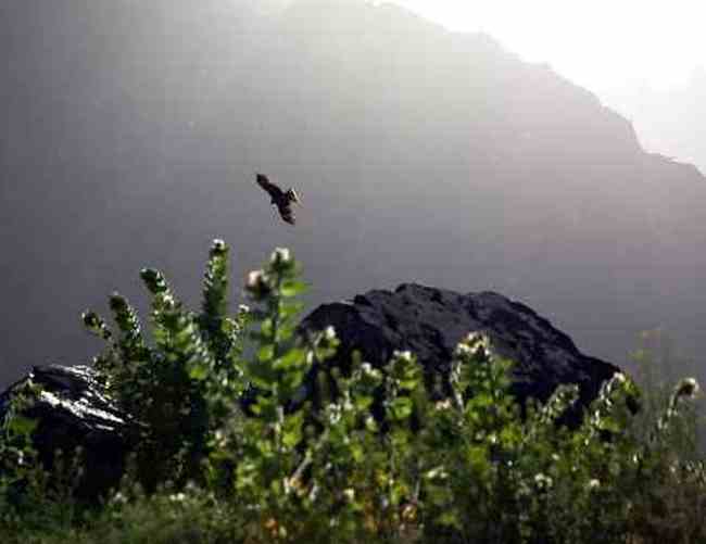 (北疆之七)天池,图三