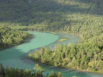 天堂很远喀纳斯很近,图十一