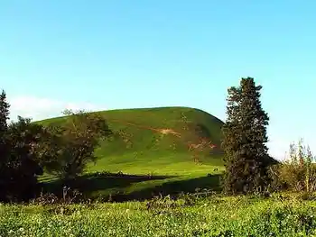 到青葱草原策马扬鞭,图五