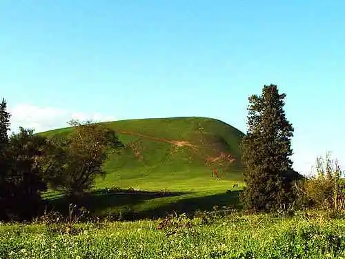 到青葱草原策马扬鞭