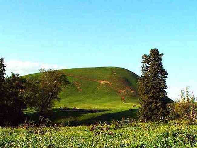 到青葱草原策马扬鞭,图五