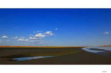 陶醉在塔里木河畔,图六