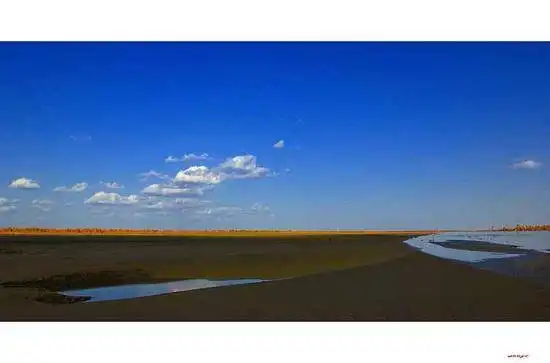 陶醉在塔里木河畔