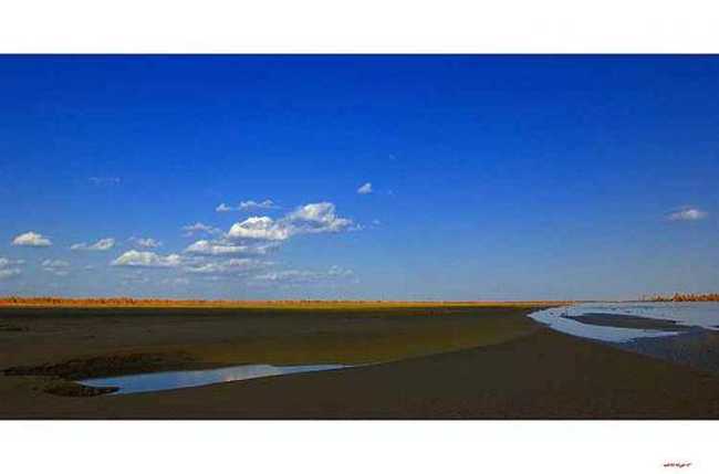 陶醉在塔里木河畔,图六