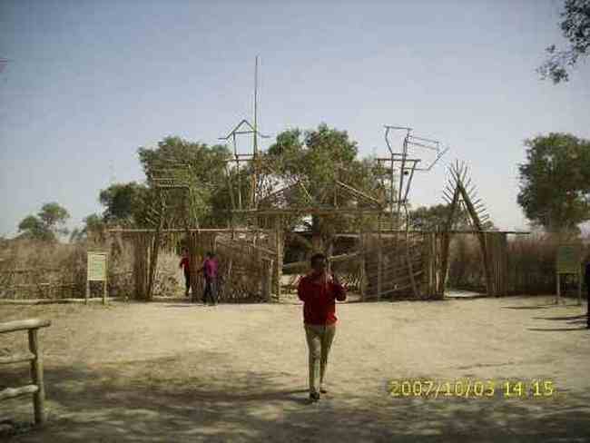 心旷神怡的罗布人村寨,图十