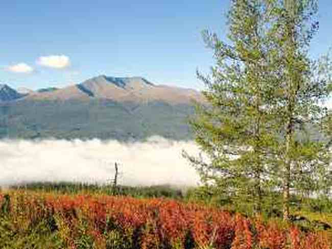天高云淡彩叶飘飞——秋日的新疆,图一